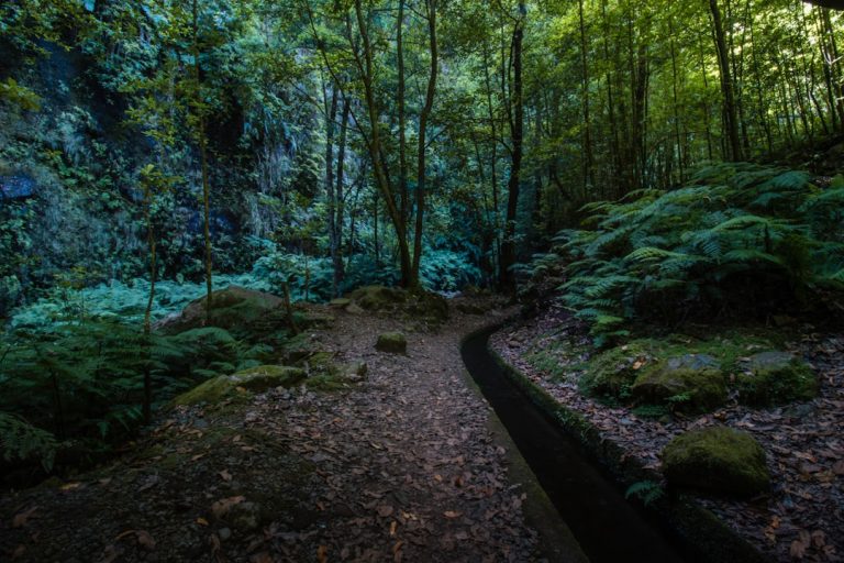 Unconventional Ways to Experience the Great Outdoors