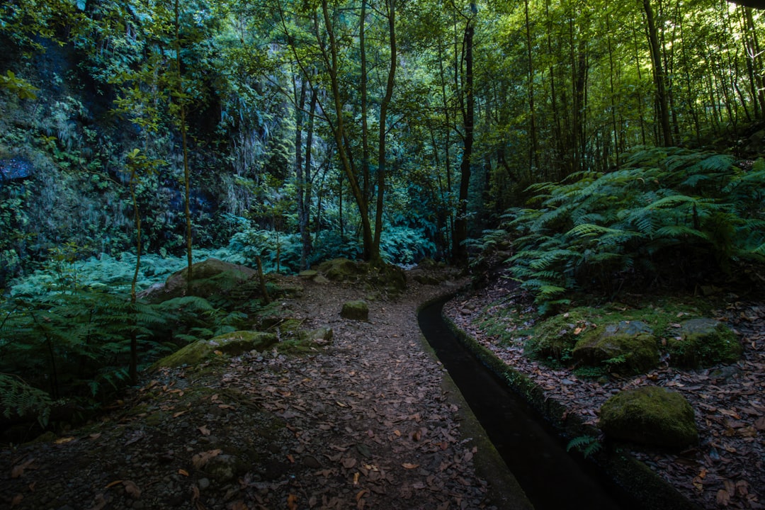 Unconventional Ways to Experience the Great Outdoors